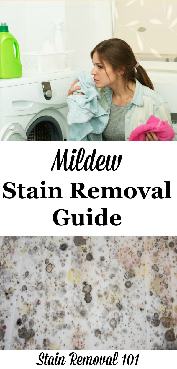 How to Clean a Washing Machine and Prevent Mildew