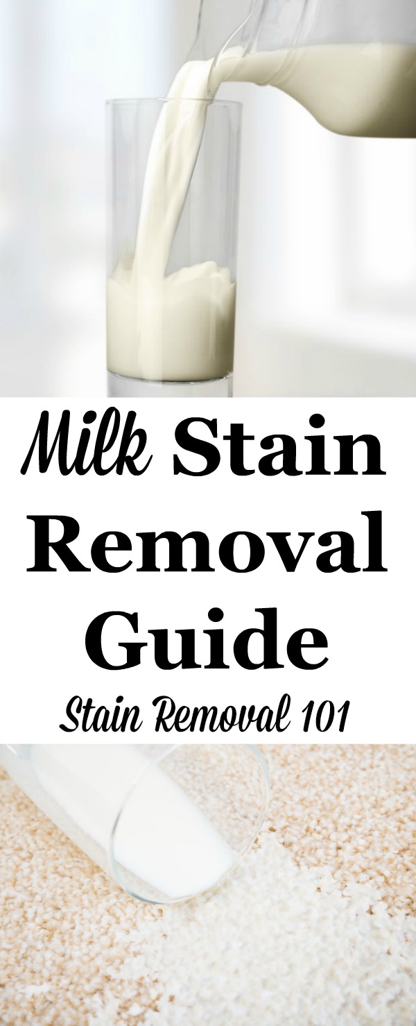 Don't cry over spilled milk. Step by step instructions for how to remove milk stains from clothing, upholstery and carpet {on Stain Removal 101}