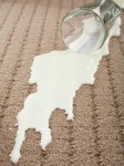 milk stains on carpet