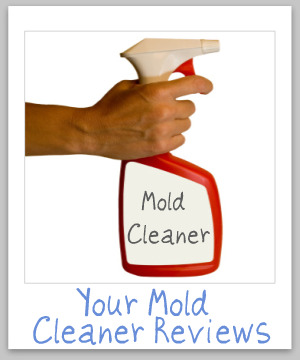 mold cleaners