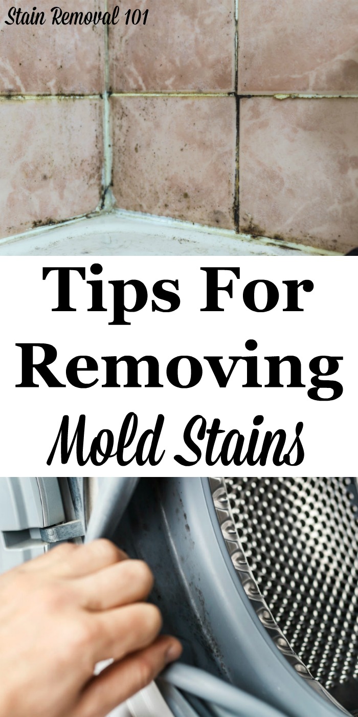 Here is a round up of mold removal stain tips for many types of surfaces around your home, to get rid of these often tough to remove fungal stains {on Stain Removal 101} #StainRemoval #CleaningTips #RemoveStains