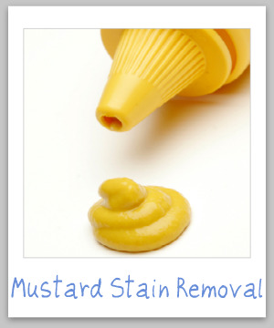 How to remove mustard stains from clothing, upholstery and carpet, with step by step instructions {on Stain Removal 101}