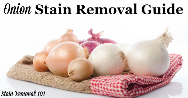 Step by step instructions for onion stain removal from clothing, upholstery and carpet {on Stain Removal 101}
