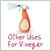 other uses for vinegar