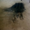 paint on carpet