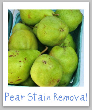 How to remove pear juice and pear stains from clothing, upholstery and carpet {on Stain Removal 101}