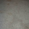 pet stains on carpet