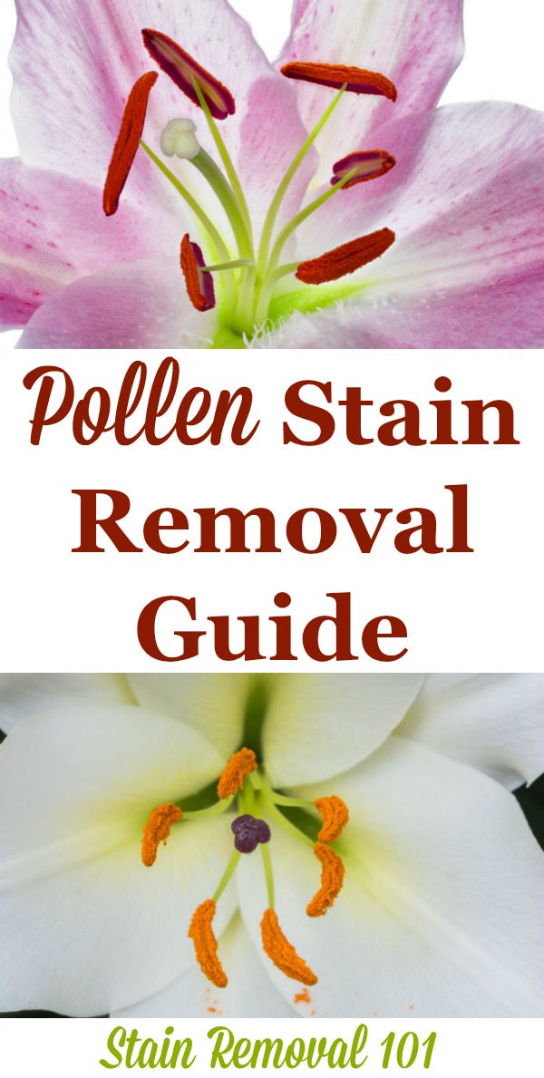 Step by step instructions for pollen stain removal from clothing, upholstery and carpet so you can enjoy your flowers without fear of a mess {on Stain Removal 101}