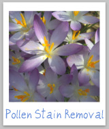 pollen stain removal