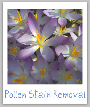 Pollen stain removal guide for clothing, upholstery and carpet {on Stain Removal 101}
