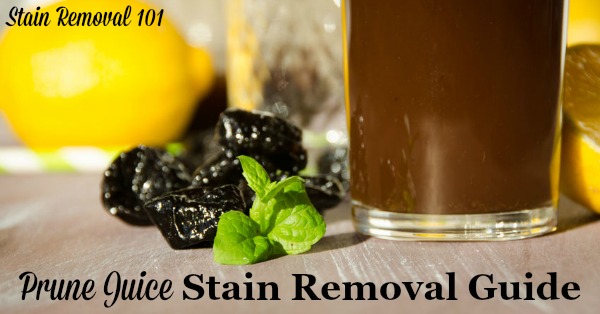 Step by step instructions for prune juice stain removal from clothing, upholstery and carpet {on Stain Removal 101}