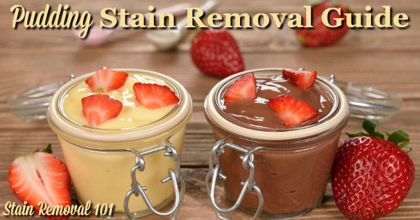 Step by step instructions for pudding stain removal for multiple flavors including chocolate and more, for clothing, upholstery and carpet {on Stain Removal 101}