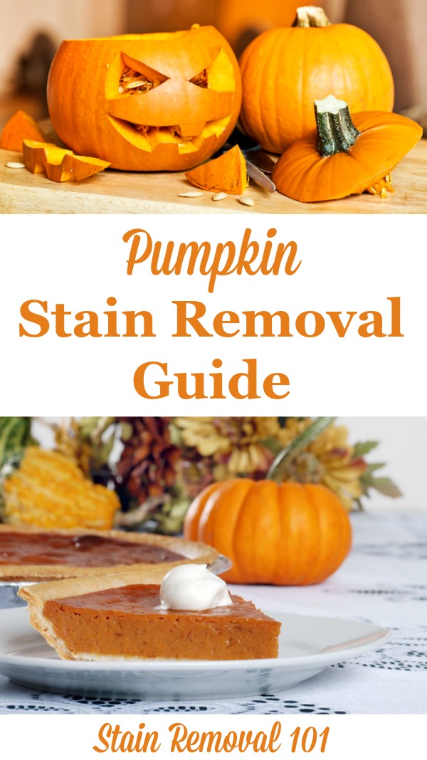 Pumpkin stain removal guide for clothing, upholstery and carpet {on Stain Removal 101}