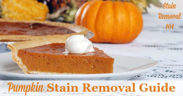 Pumpkin stain removal guide for clothing, upholstery and carpet, with step by step instructions {on Stain Removal 101}