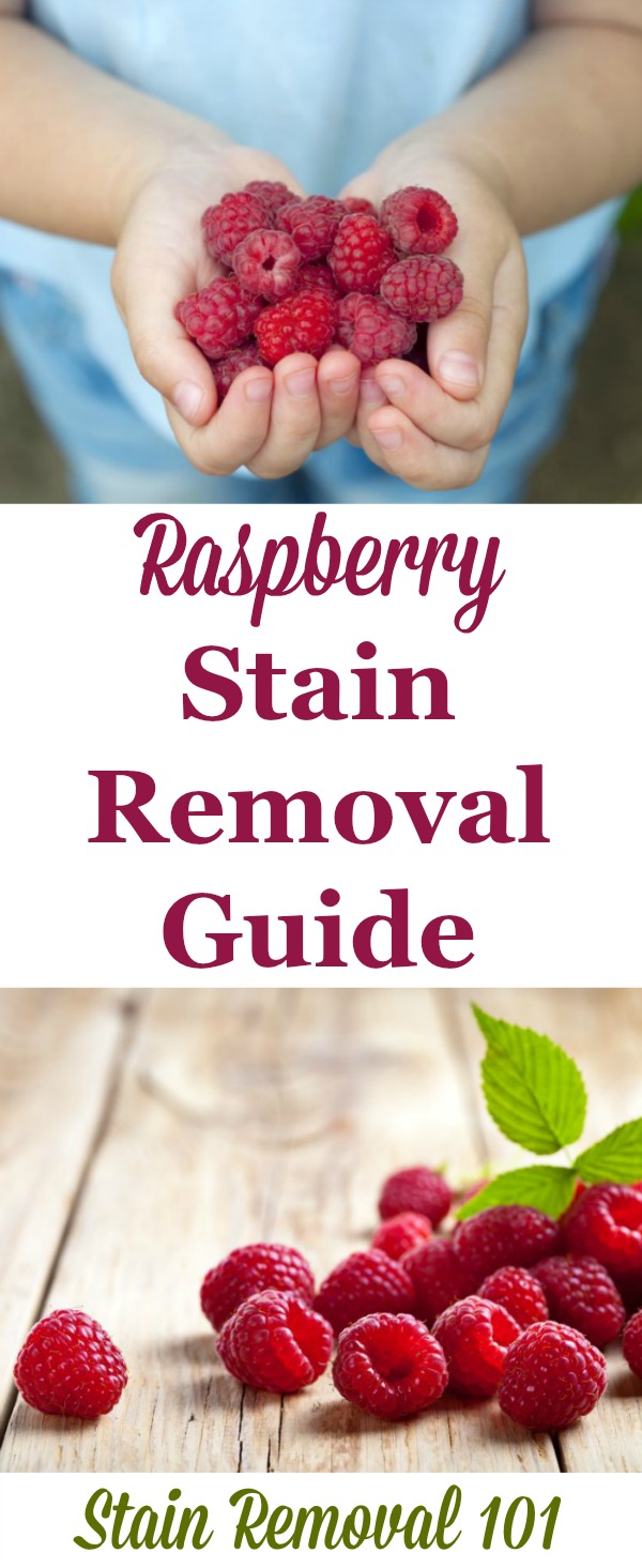 Step by step raspberry stain removal guide for clothing, upholstery and carpet {on Stain Removal 101}