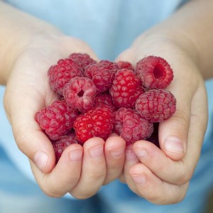 raspberries