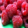 raspberries