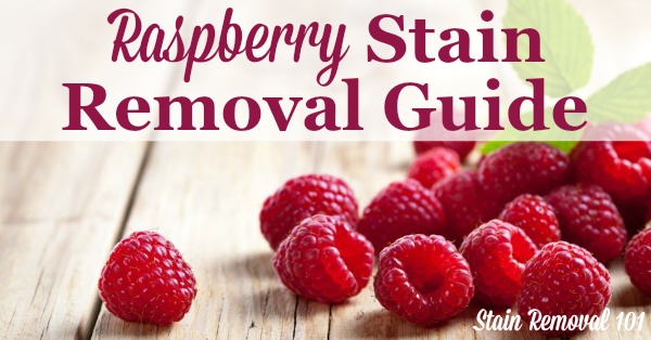 Step by step raspberry stain removal guide for clothing, upholstery and carpet {on Stain Removal 101}
