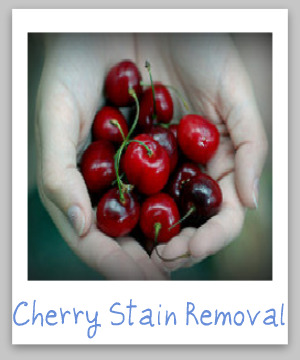 How to remove cherry stains, including black cherries and cherry juice, from clothing, upholstery and carpet {on Stain Removal 101}