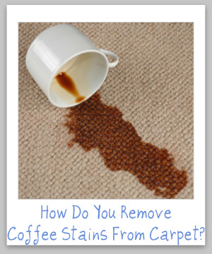 remove coffee stain from carpet