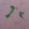 gum on clothing
