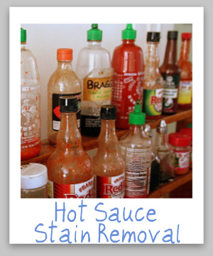 How to remove hot sauce stains from clothing, upholstery and carpet {on Stain Removal 101}