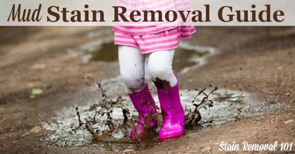 Step by step instructions for how to remove mud stains from clothing, upholstery and carpet {on Stain Removal 101}
