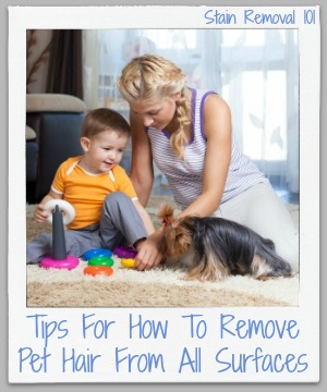 tips for how to remove pet hair from all surfaces