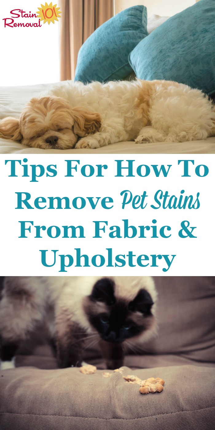 Here is a round up of tips for how to remove pet stain from fabrics and upholstery, including both home remedies and do it yourself methods, as well as reviews of various pet stain remover products {courtesy of Stain Removal 101} #CleaningTips #PetStains #StainRemoval
