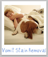 vomit stain removal