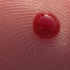 blood on fingertip