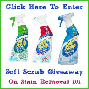 Soft Scrub Total with Bleach Cleaner Reviews 2023