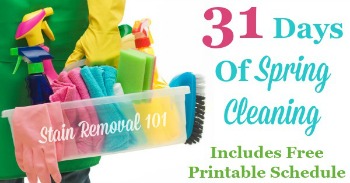 31 days of spring cleaning series