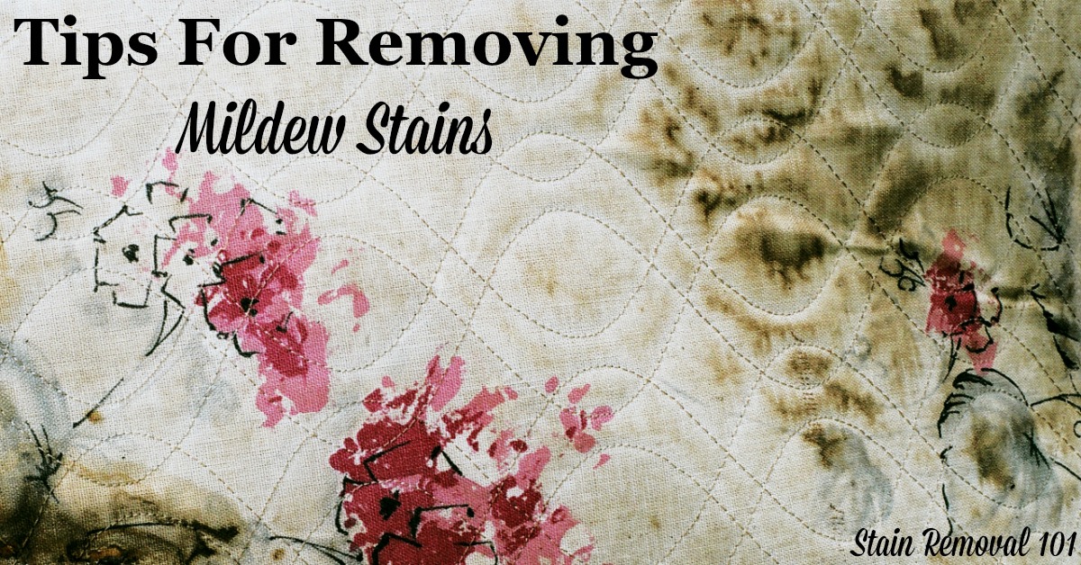 Here is a round up of stain removal mildew tips for fabric, upholstery and carpeting surfaces, and more. Get ideas for how to remove mildew stains and smells, since they often linger {on Stain Removal 101} #StainRemoval #CleaningTips #RemoveStains