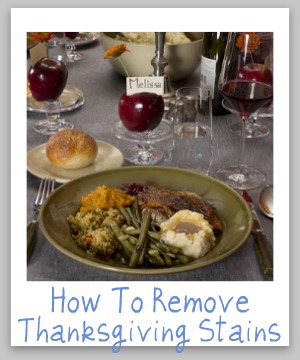 How to remove the top 10 Thanksgiving stains {on Stain Removal 101}