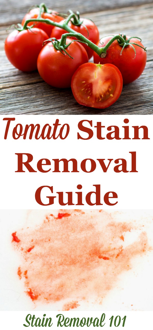 How to remove tomato stains of all varieties, including paste, sauce, soup, and juice, from clothing, upholstery, carpet and more, with step by step instructions {on Stain Removal 101}