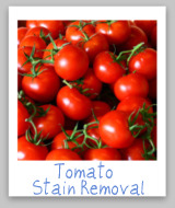 tomato stain