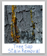 sap stains
