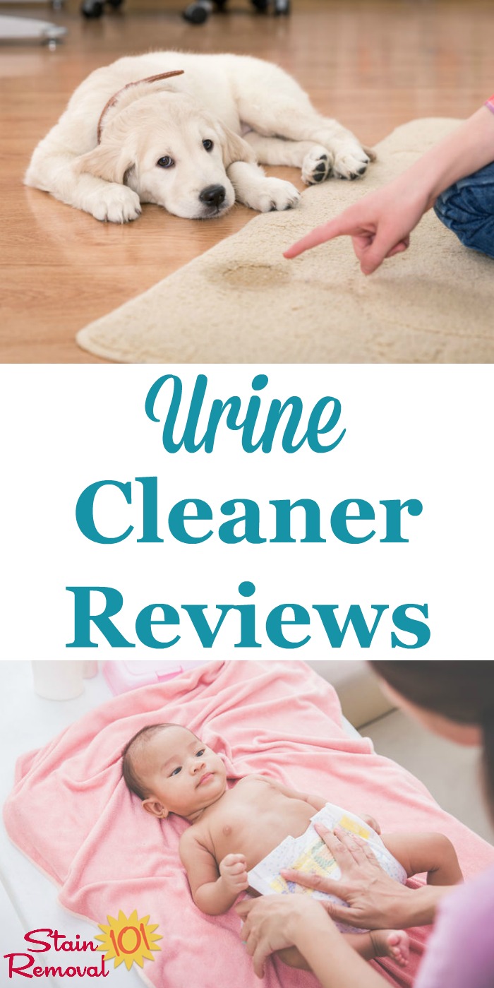 Here is a round up of reviews of urine cleaner and urine stain removers, to clean up both smells and stains on a variety of surfaces including on carpet, mattresses, clothes, and more {on Stain Removal 101}