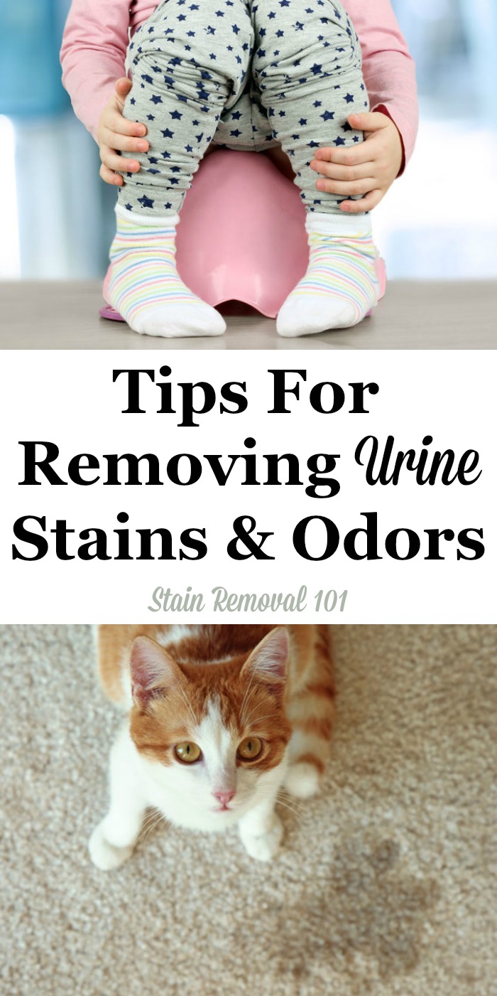 Here is a round up of tips for removing urine stains and odors from carpet, clothes, wood floors, or other household items {on Stain Removal 101} #UrineStains #UrineStainRemoval #StainRemoval