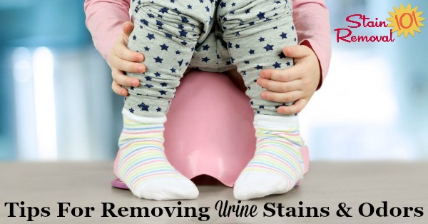 Here is a round up of tips for removing urine stains and odors from carpet, clothes, wood floors, or other household items {on Stain Removal 101} #UrineStains #UrineStainRemoval #StainRemoval