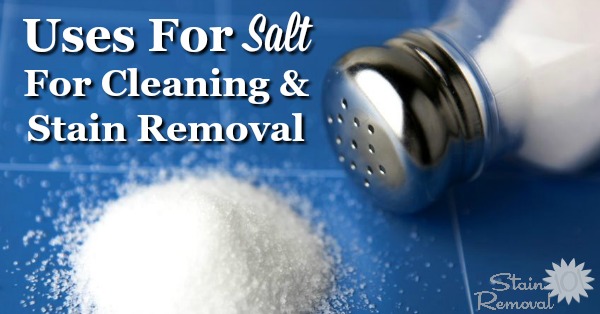 List of uses for salt for cleaning, laundry and stain removal around your home. It's both frugal and natural! {on Stain Removal 101}