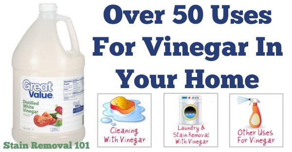 Over 50 uses for vinegar in your home {on Stain Removal 101}
