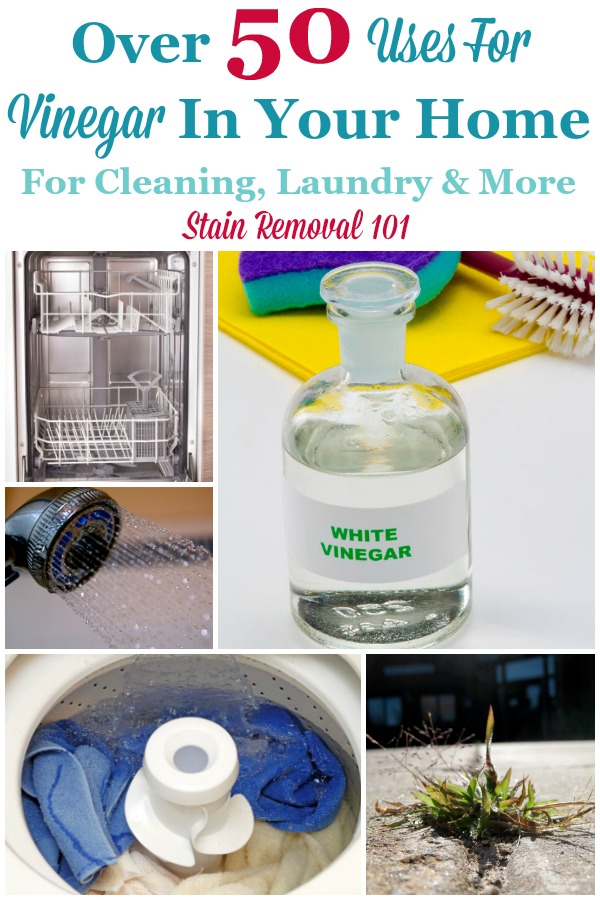 Over 50 uses for vinegar in your home, for cleaning, laundry and more {on Stain Removal 101} #UsesForVinegar #VinegarUses #UsesOfVinegar