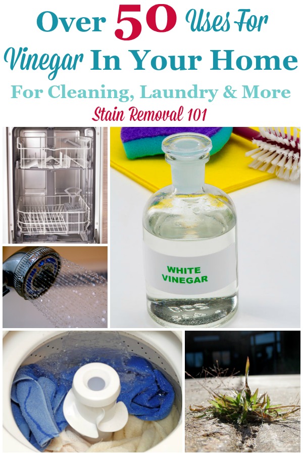 Cleaning with Vinegar - Best White Vinegar Uses for Cleaning Your Home