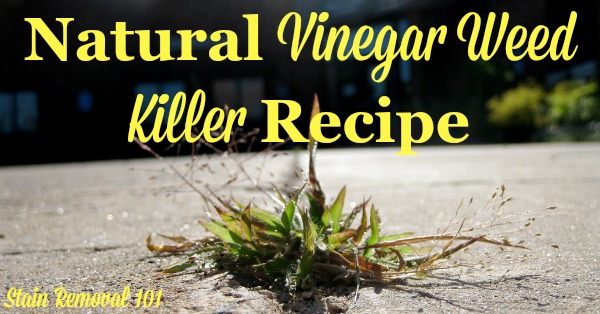 Natural vinegar weed killer recipe for use on isolated weeds such as those in cracks or on the edge of the driveway {on Stain Removal 101}