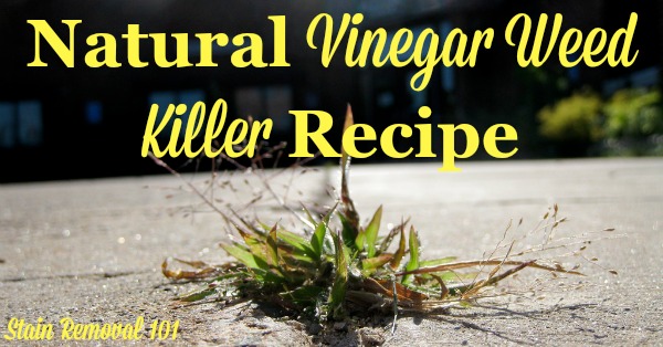 Natural Vinegar Weed Killer Recipe Simple & Frugal