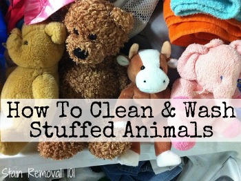 What you need to know about how to wash stuffed animals - Reviewed