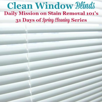 clean window blinds