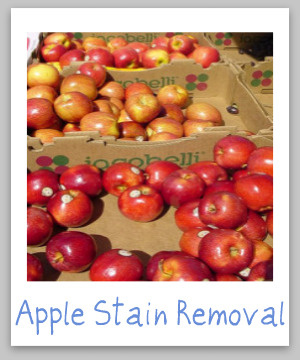 Apple stain removal guide for clothes, upholstery and carpet {from Stain Removal 101}